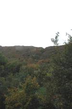 The incline
